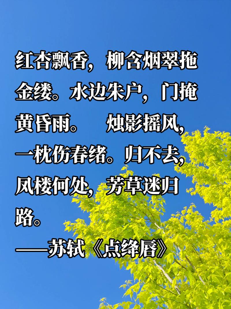 簌簌衣巾落枣花，那些诗词中的枣树  第1张