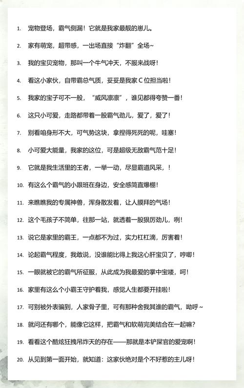 晒宠物的朋友圈文案短句  第1张