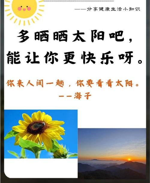 幸福就是晒太阳  第1张