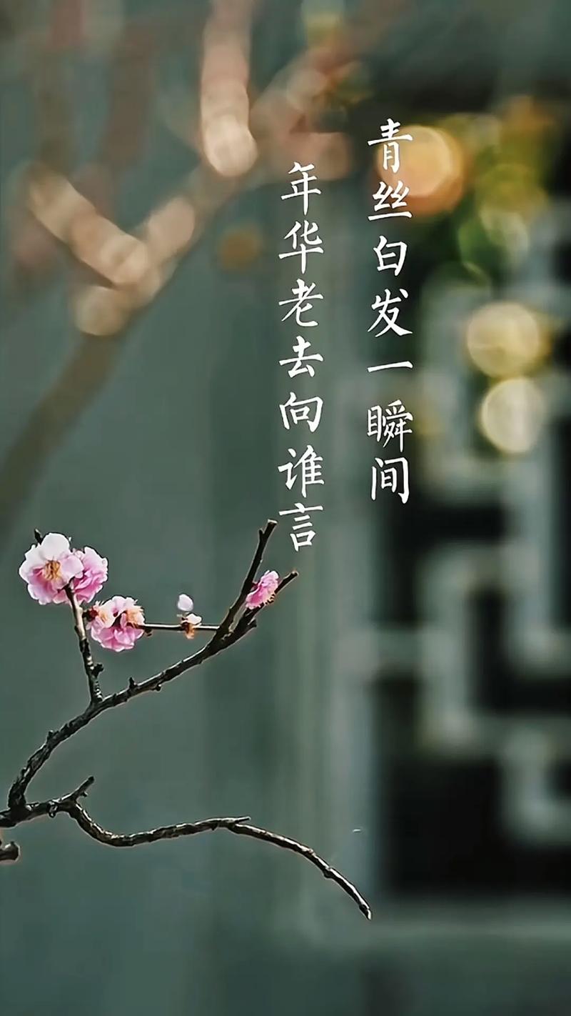 时光飞逝，佳人依旧  第1张