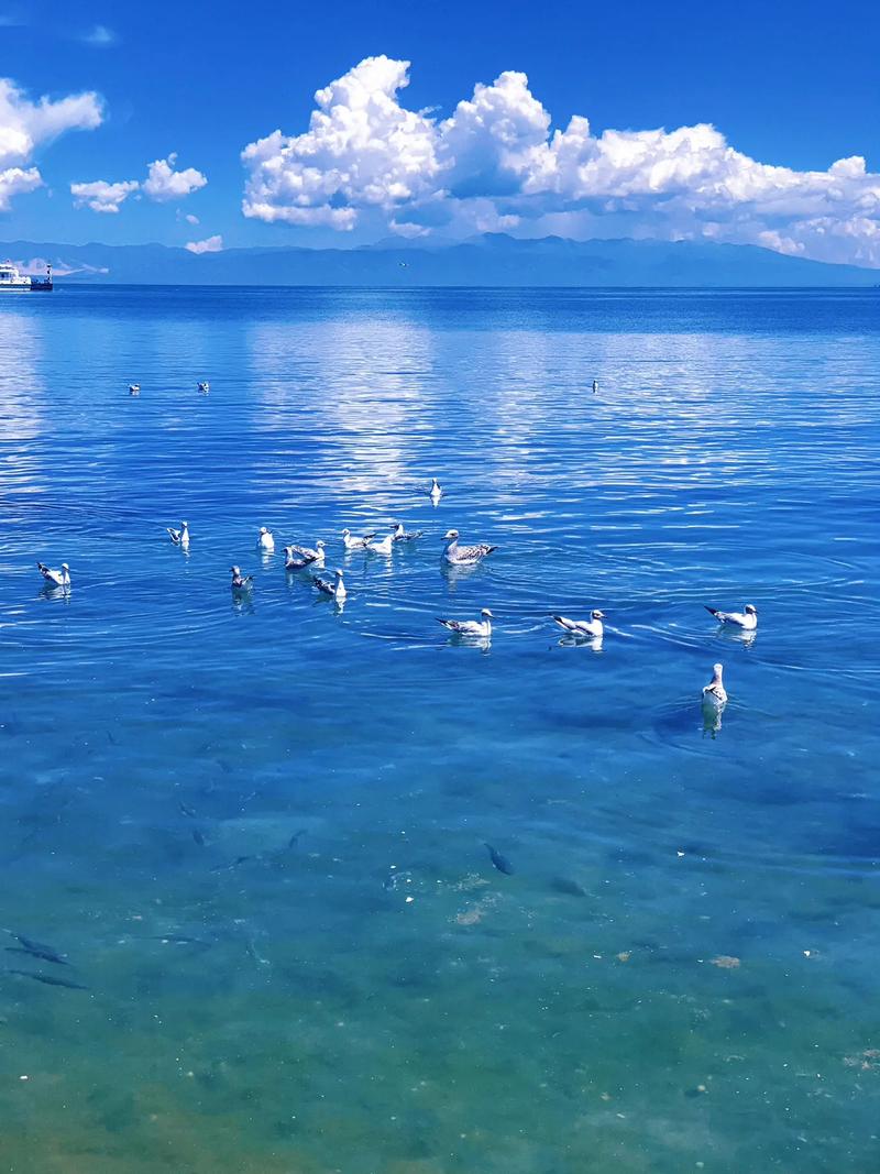 看啊，天蓝了，海也蓝了  第1张