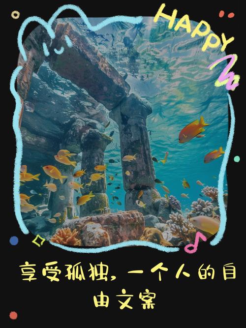 孤独如风  第1张