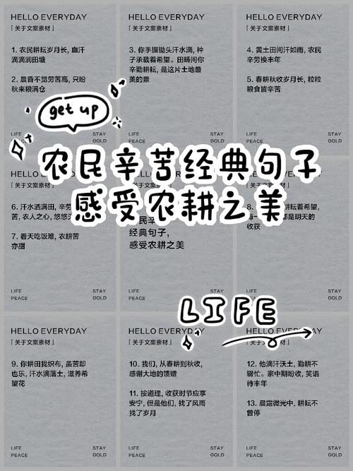 关于劳动的优美句子，劳动的魅力与美好瞬间，辛勤耕耘的优美句子  第1张