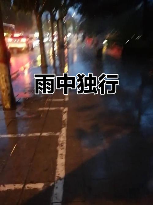 漫步雨中  第1张