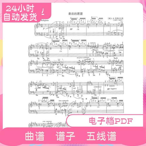 最后的愿望  第1张