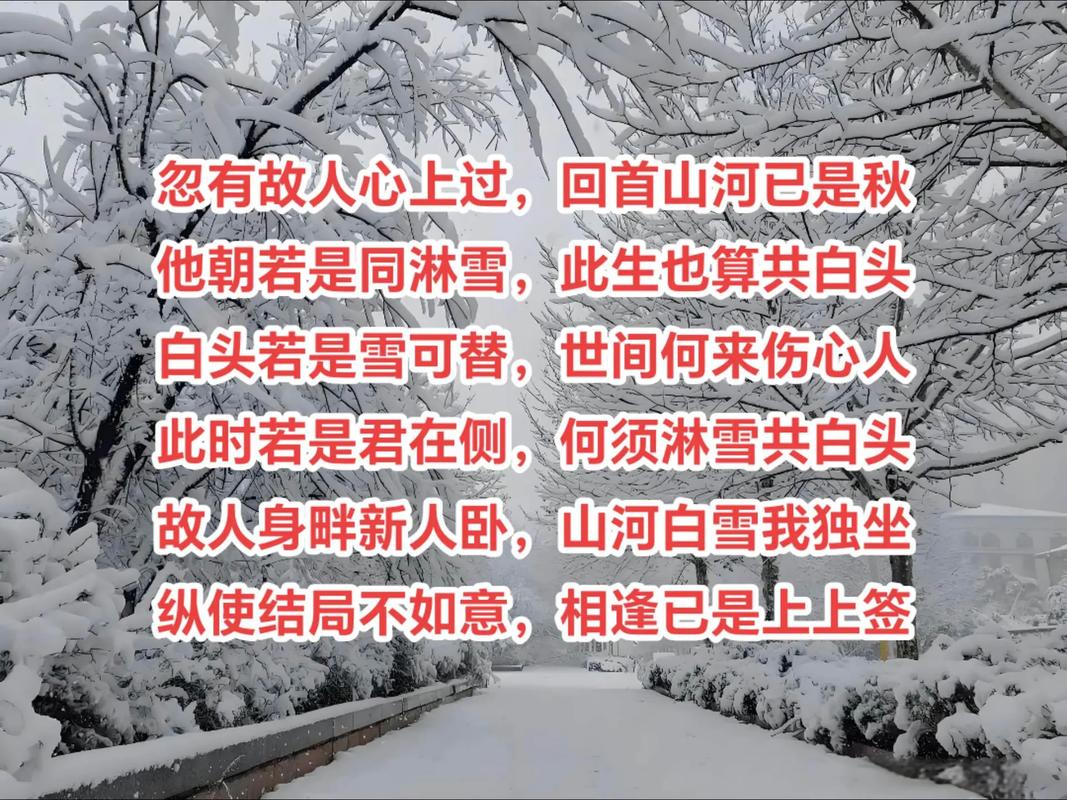 若人为雪，雪为人  第1张