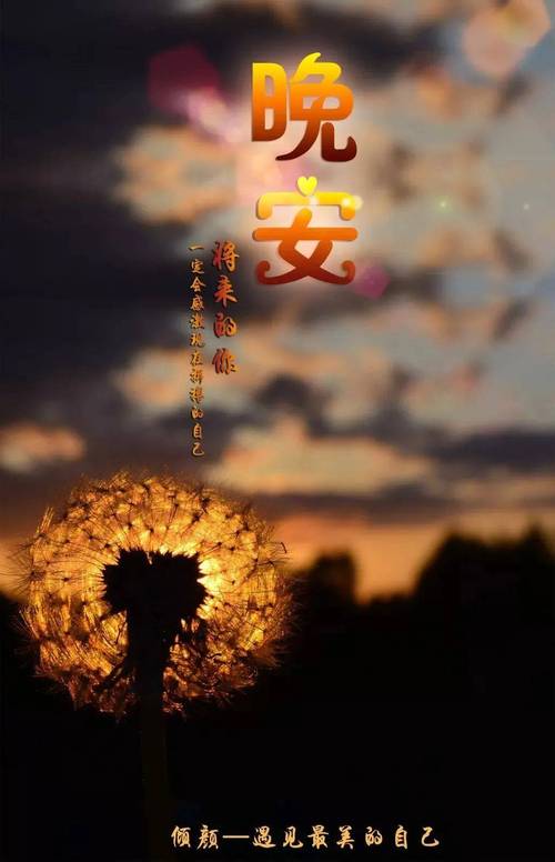 适合发朋友圈的句子，适合朋友圈的句子，生活点滴，记录美好。  第1张