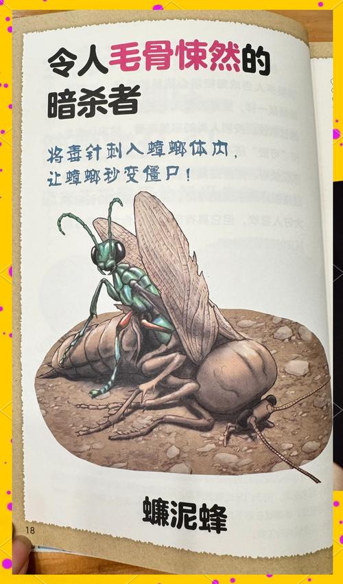 蝉的宿命  第1张