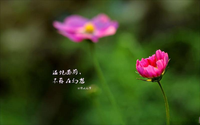 淡淡的浓浓的情怀  第1张