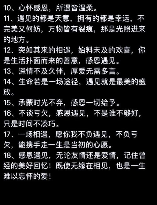 感恩相识 珍惜相遇语句，感恩相遇，珍惜相识的宝贵时刻  第1张