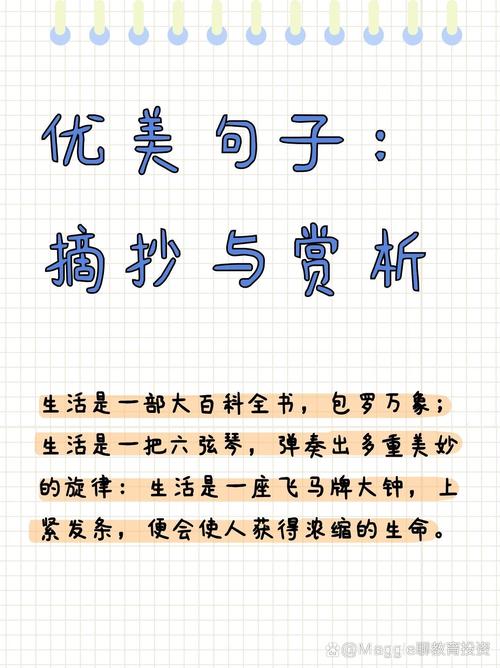每日积累优美句子，每日精选优美句子积累  第1张