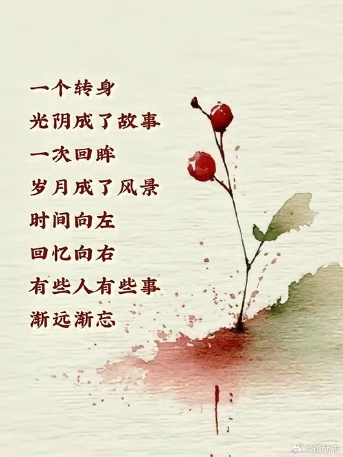 时光匆匆，我还在原地  第1张