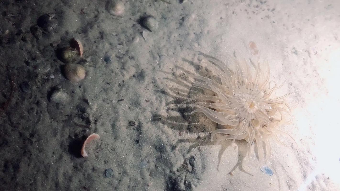 在时间的大海里  第1张