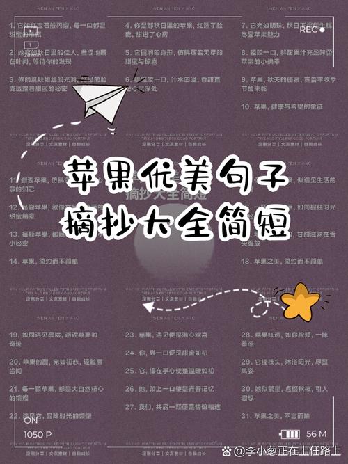 优美句子摘抄，优美句子摘抄，静谧的夜晚，星光闪烁，如诗如画。  第1张