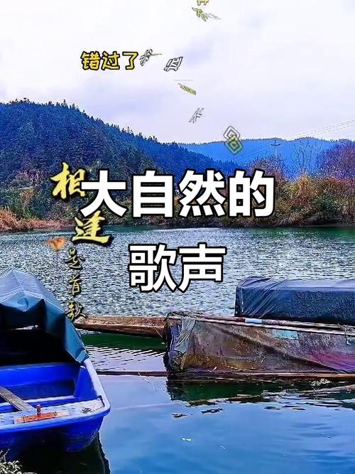 聆听生命  第1张