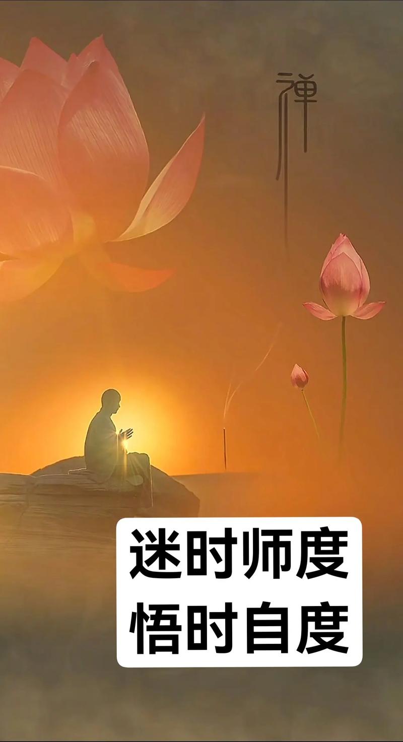 生命的禅悟  第1张