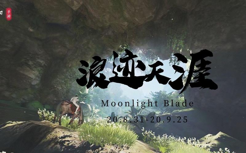 浪迹天涯  第1张