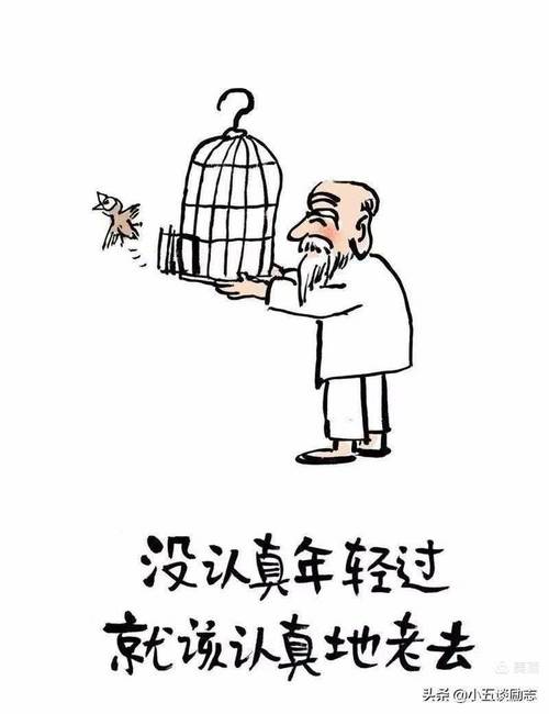 老了，真好  第1张