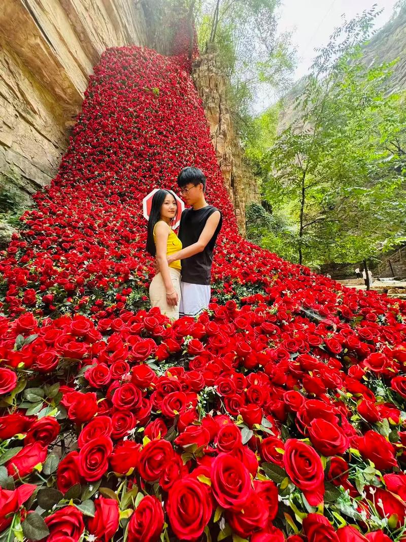 遇见你是最美的风景  第1张