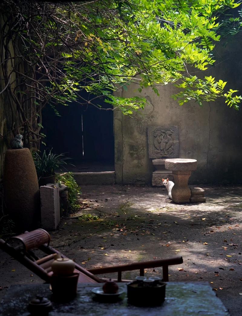 幽居夏季  第1张