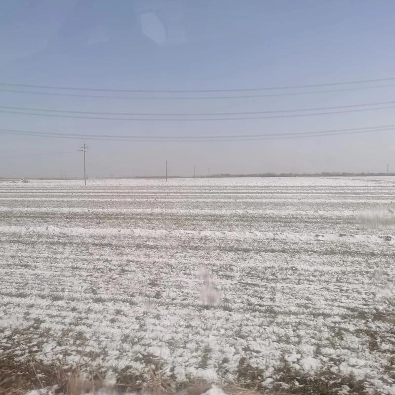 弱雪一场，田地一亩  第1张