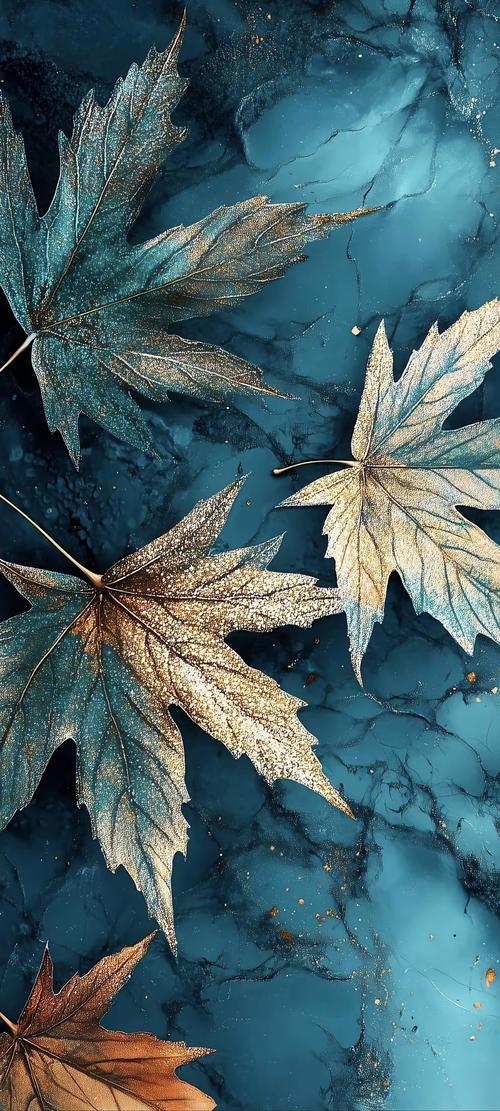 梦想不凋零  第1张