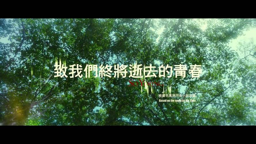 青春终将逝去  第1张