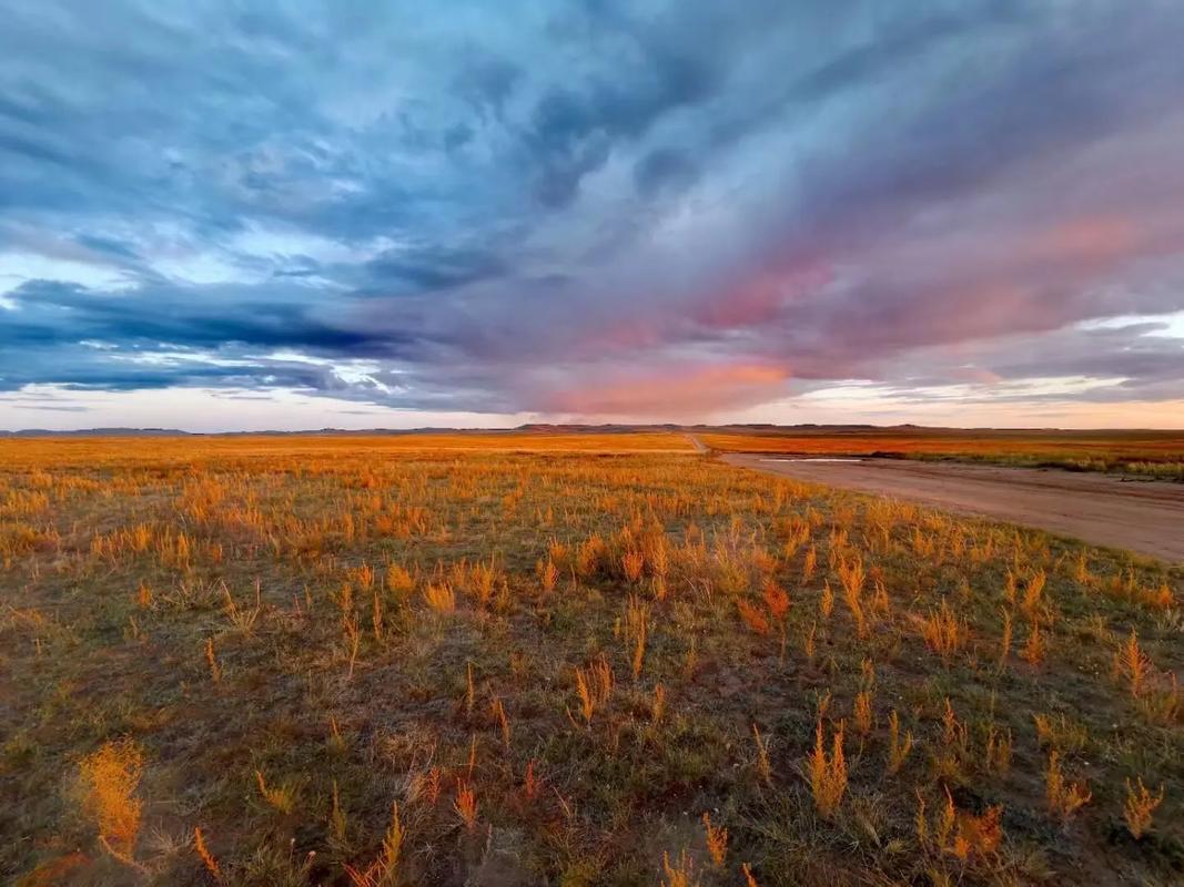 草原深处一片忧伤  第1张