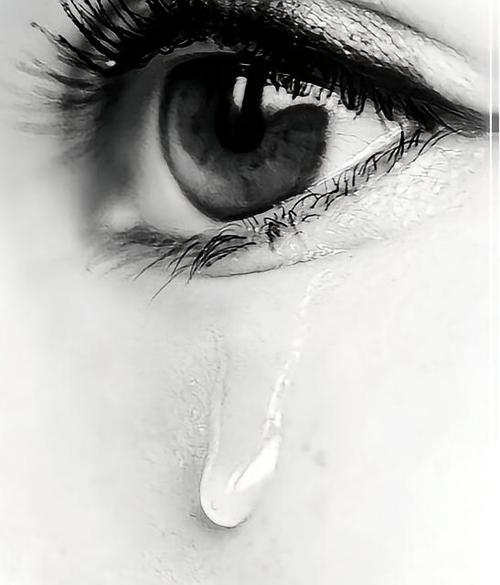 朴实给予的眼泪  第1张