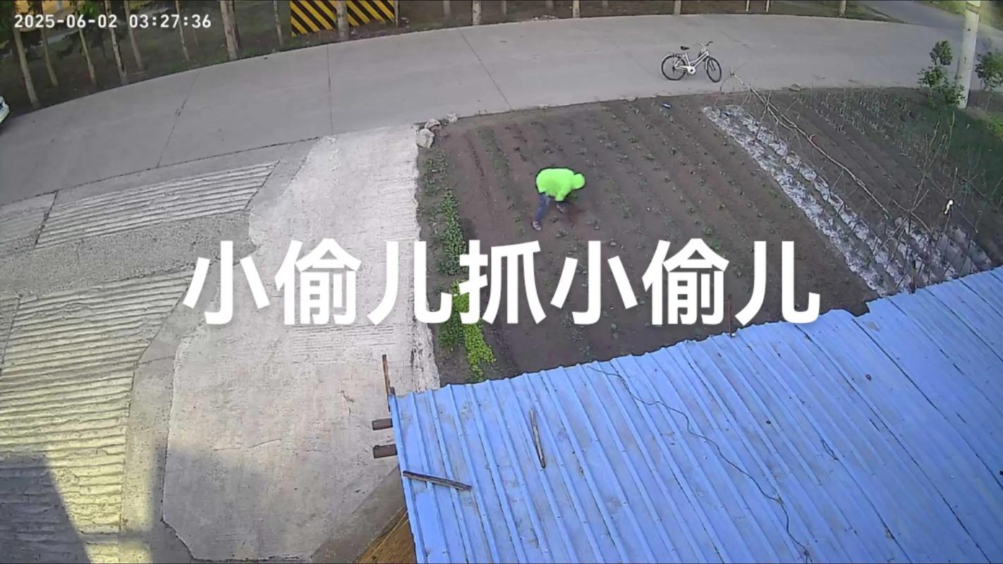 你是小偷  第1张