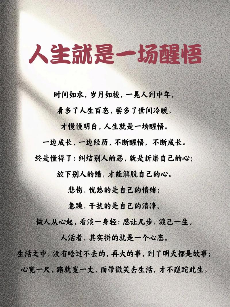 最精辟的人生感悟句子，人生感悟，精辟至理的智慧箴言  第1张