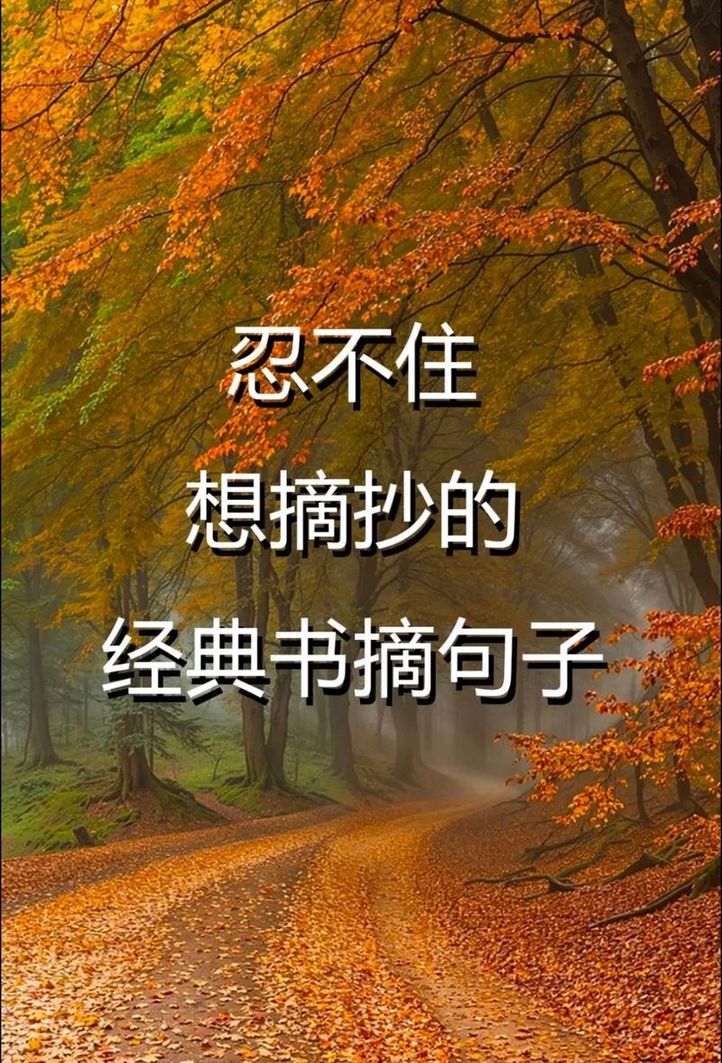 优美句子积累书，优美句子积累宝典  第1张