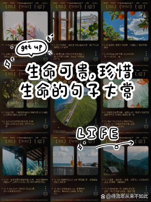 珍惜生命的名言,珍惜生命,感悟名言的智慧 第1张 珍惜生命的名言,珍惜生命,感悟名言的智慧 第1张