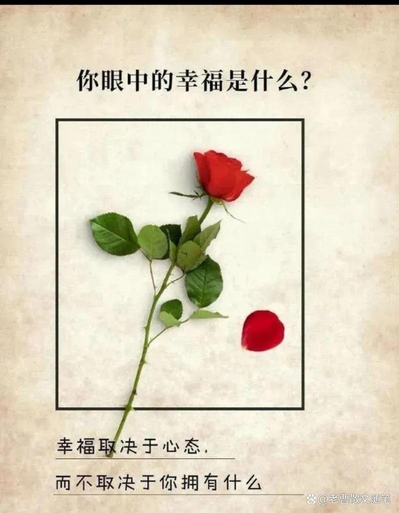 幸福是一种感觉 第1张 幸福是一种感觉 第1张