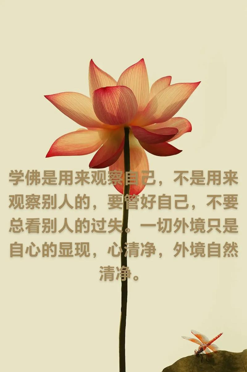 不想解脱不要学佛  第1张