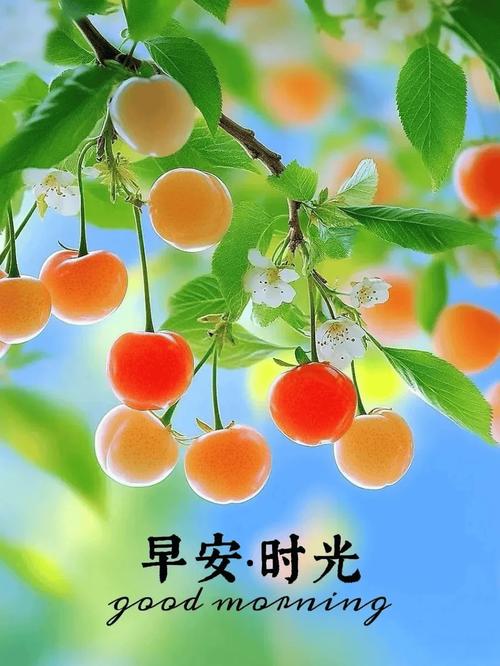 早上好图片大全 最美 漂亮 新版夏天  第1张
