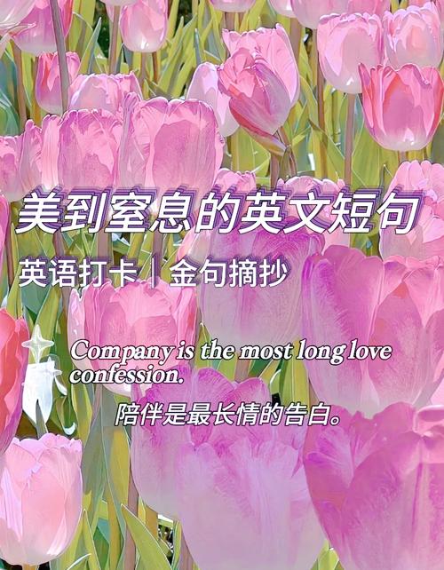 英文句子唯美简短,英文简短唯美句子 第1张 英文句子唯美简短,英文简短唯美句子 第1张