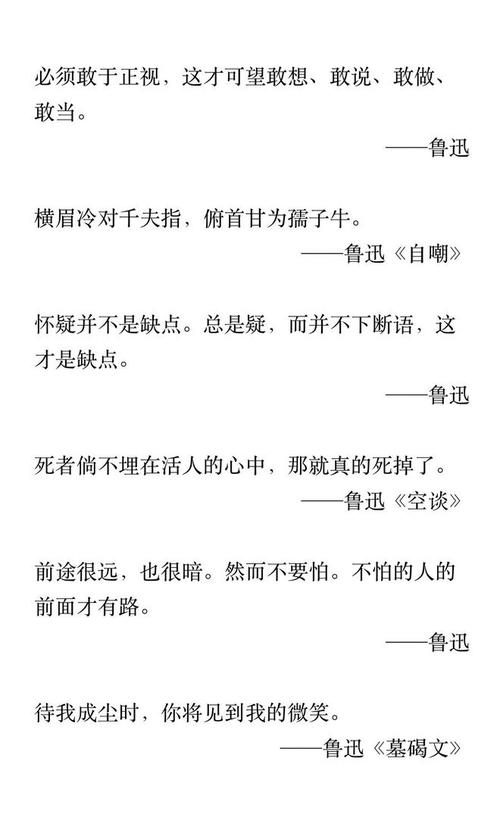 鲁迅的名言名句经典语录,鲁迅经典名言名句选录 第1张 鲁迅的名言名句经典语录,鲁迅经典名言名句选录 第1张