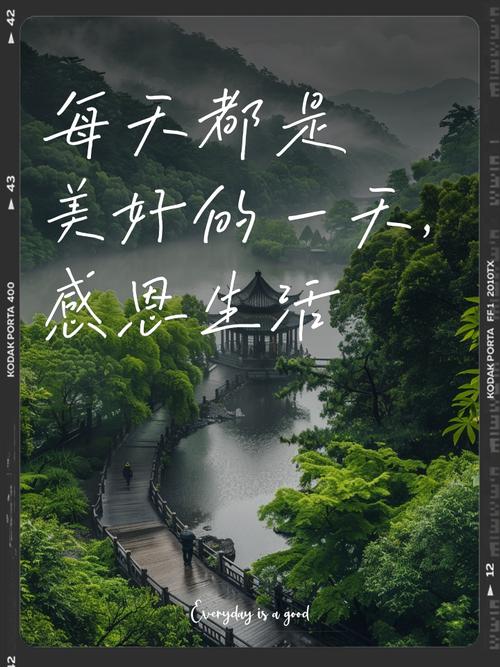 感恩生活 第1张 感恩生活 第1张