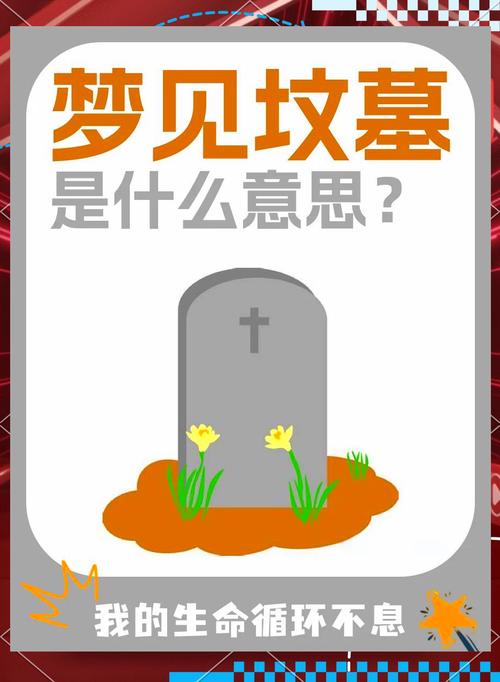 请让我在墓里  第1张