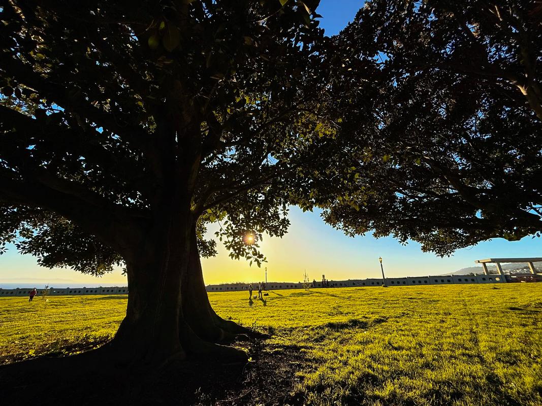 影子岁月  第1张