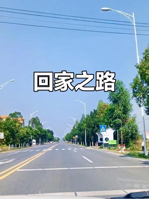 回家的小路  第1张
