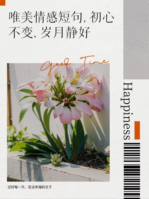 愿岁月静好,温暖如初 第1张 愿岁月静好,温暖如初 第1张