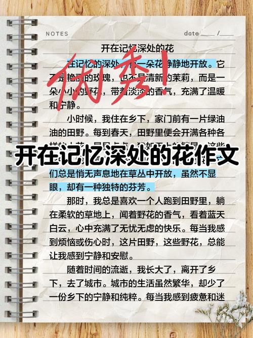 花开遐想,旅途记忆 第1张 花开遐想,旅途记忆 第1张