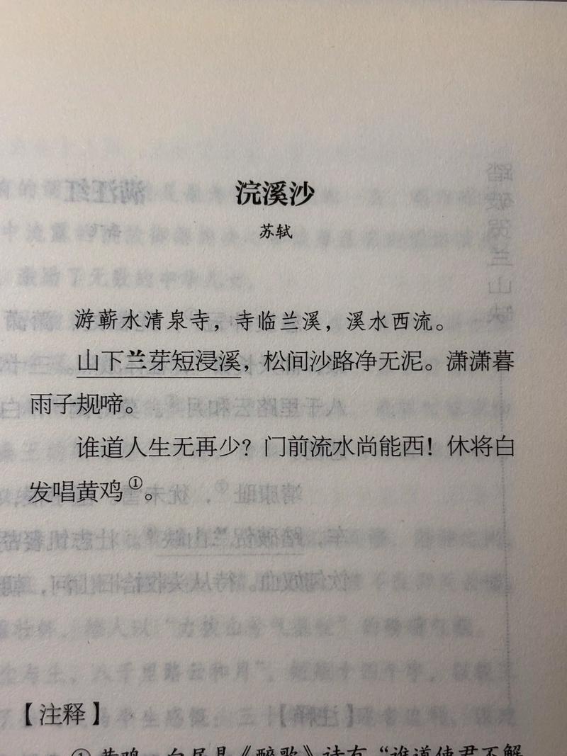 随流沙去 第1张 随流沙去 第1张