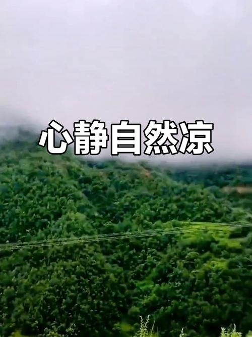 心静自然凉 第1张 心静自然凉 第1张