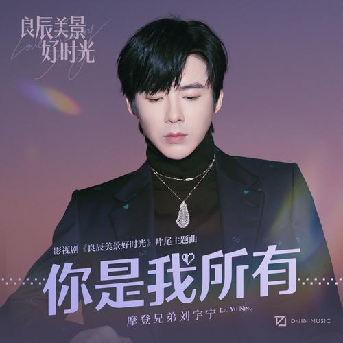 你是我的所有  第1张
