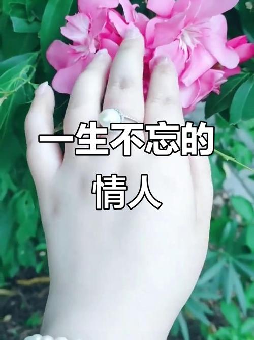 入心的情人，一生难忘  第1张