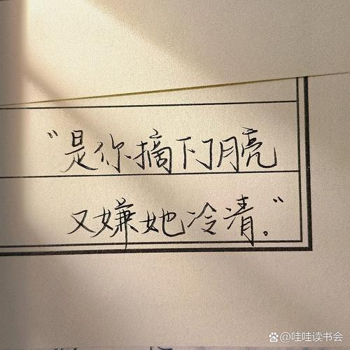 小众但高级的文案，日暮星辰可睹，便知来者皆为定数  第1张