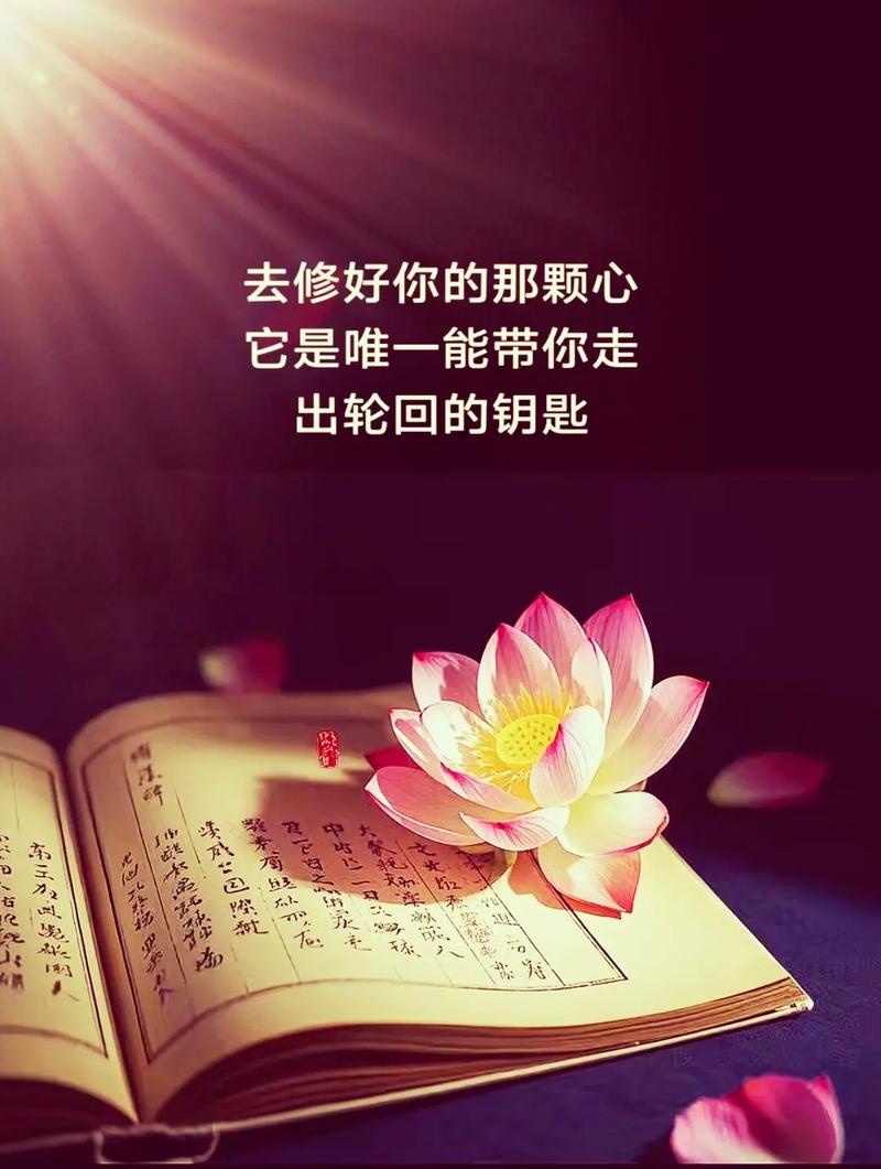 女人净化心灵禅语,女性心灵净化之禅语 第1张 女人净化心灵禅语,女性心灵净化之禅语 第1张